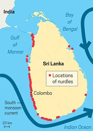 Map of Sri Lanka showing two current patterns offshore. A current, indicated by a blue arrow, runs south along the west side of the island. Another runs south along the country's east. Red dots circling the country's shoreline indicate nurdle sightings