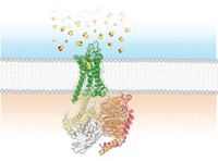 Serving the chemical, life science, and laboratory worlds