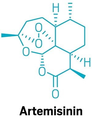 Chemical structure of artemisinin.