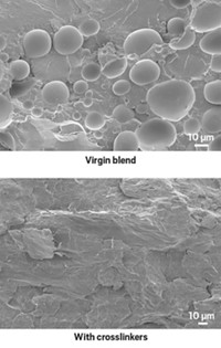 Serving the chemical, life science, and laboratory worlds