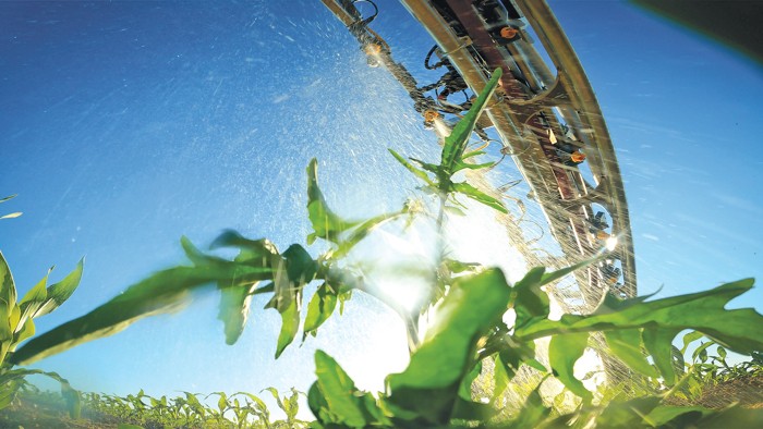 Um pulverizador de herbicida aplica um produto químico a uma erva daninha.