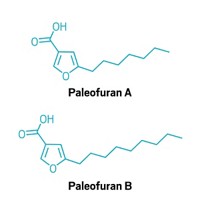 Serving the chemical, life science, and laboratory worlds