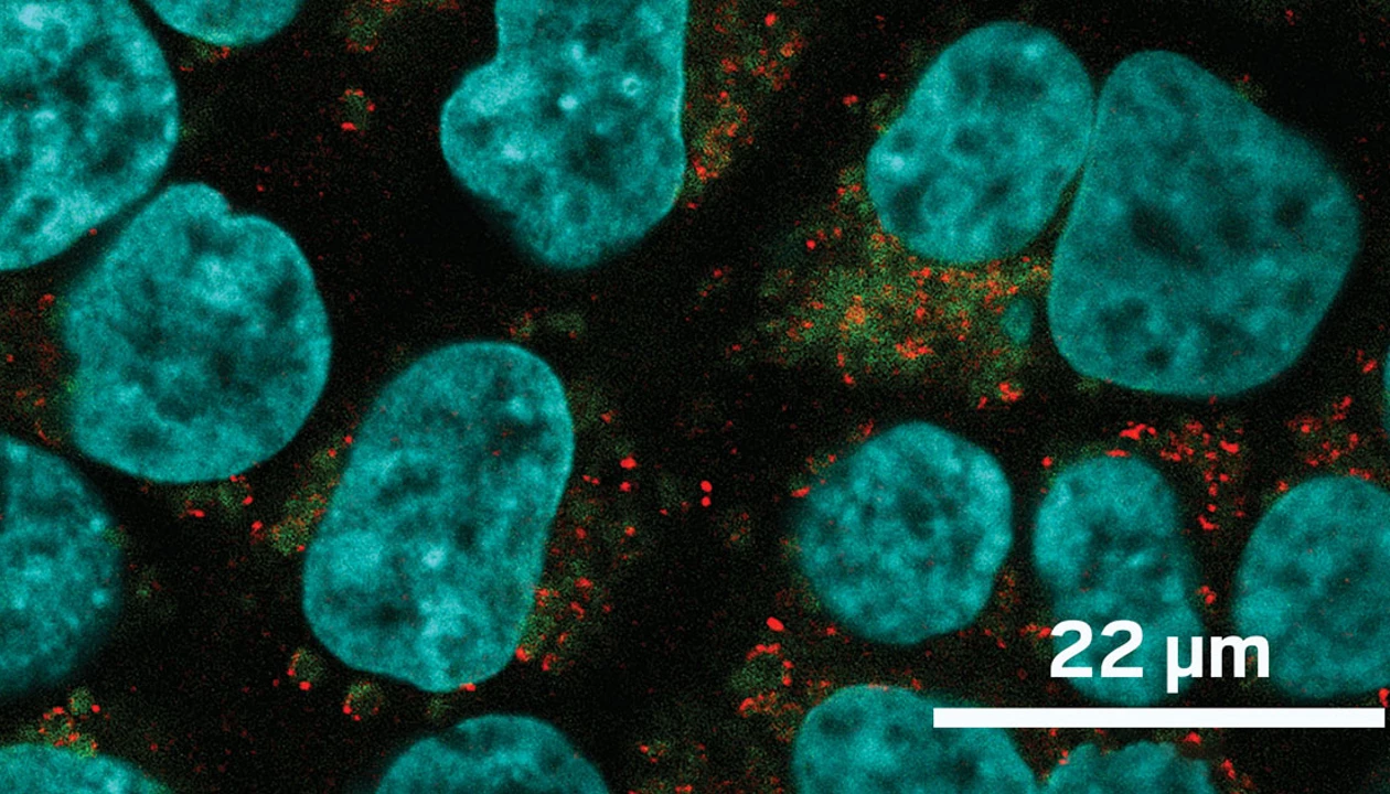 Exploring the world of microproteins