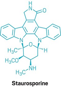 Serving the chemical, life science, and laboratory worlds