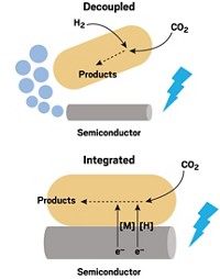 Serving the chemical, life science, and laboratory worlds