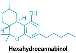 Chemical structure of hexahydrocannabinol.