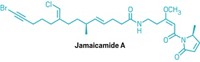 Serving the chemical, life science, and laboratory worlds