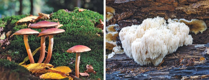 Serving the chemical, life science, and laboratory worlds