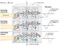Serving the chemical, life science, and laboratory worlds