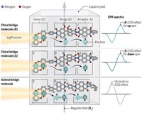 Serving the chemical, life science, and laboratory worlds