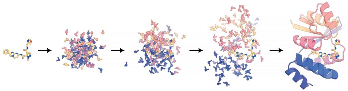Pictures Of Protein Structure New Protein Structure Could Help Treat