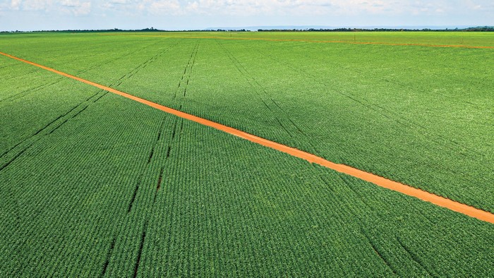 ﻿Japanese ag chem firms look abroad as local market shrinks