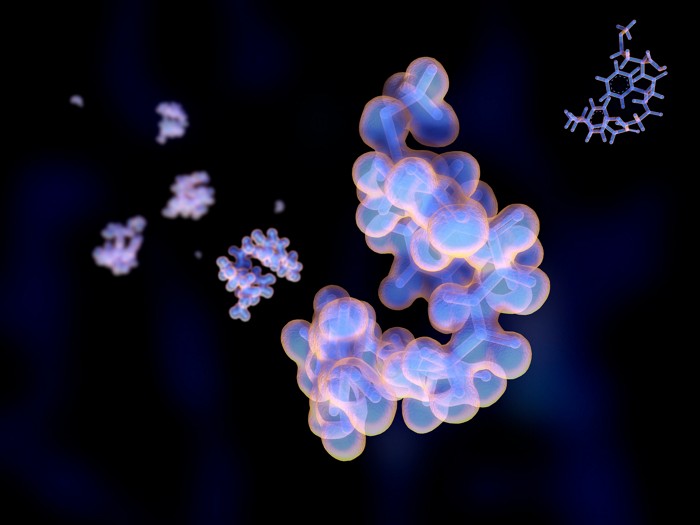 Structural and volume-filling illustrations of the neuropeptide met-enkephalin.