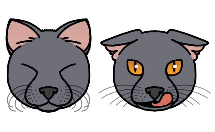 Unfriendly Face Unfriendly Facial Expression Hi Res Stock Photography