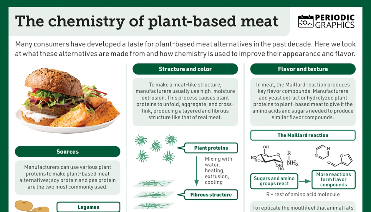 Periodic Graphics: The chemistry of meat alternatives