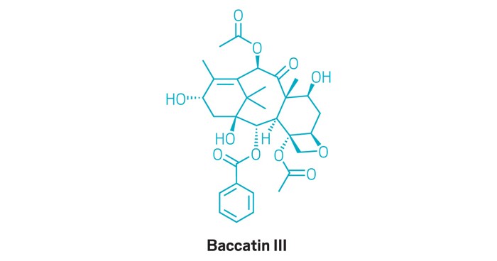 Scientists identify pathway for key Taxol precursor
