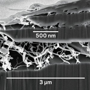A microscope image showing stringlike, white wires growing out of a solid graphite substrate.