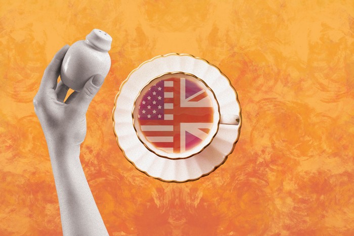 A photo collage shows an arm holding a salt shaker over a tea cup that contains the US and UK flags.