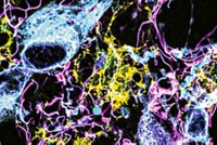 Serving the chemical, life science, and laboratory worlds