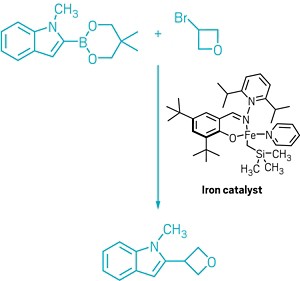 A chemical scheme showing a cross-coupling reaction using an iron catalyst.