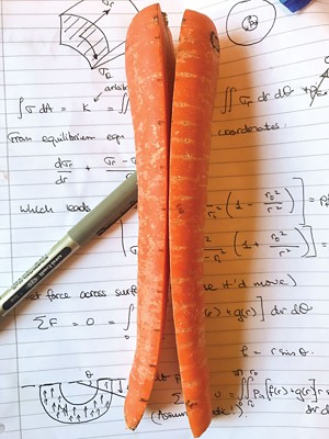 A carrot is split down the middle lengthwise. The two halves have curled away from each other and are sitting on top of a sheet full of mathematical equations.