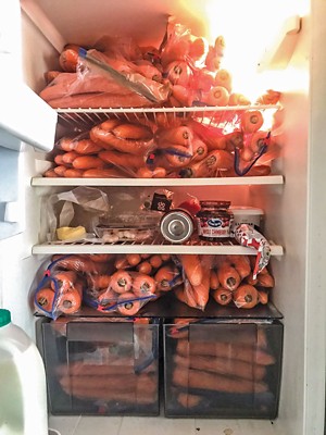 An open refrigerator contains many large bags of carrots, filling all but one shelf.