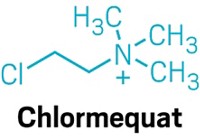 Serving the chemical, life science, and laboratory worlds