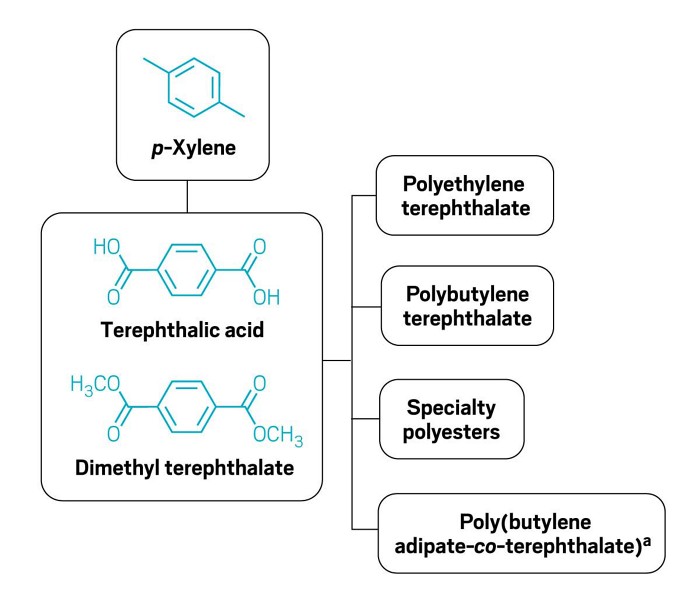 p-Xylene and its derivatives.