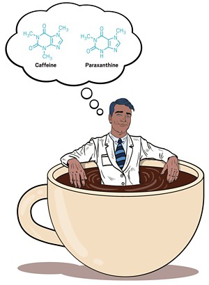 A person sits in a coffee cup as if it were a bath, dreaming of the chemical structures of caffeine and paraxanthine.