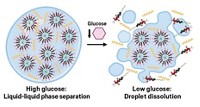 Serving the chemical, life science, and laboratory worlds