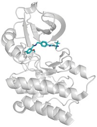 Serving the chemical, life science, and laboratory worlds