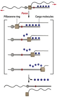 Serving the chemical, life science, and laboratory worlds