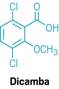 Serving the chemical, life science, and laboratory worlds