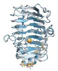 Serving the chemical, life science, and laboratory worlds