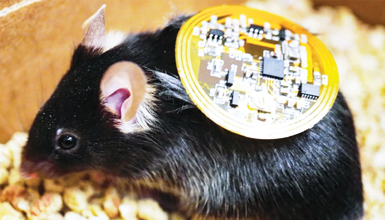 Bioelectronic device is loaded with bacteria