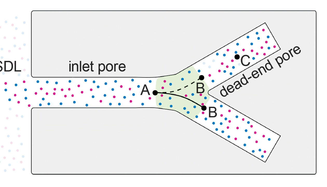 Rules of the road for ions