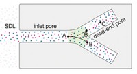 Serving the chemical, life science, and laboratory worlds