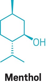 Chemical structure of menthol.