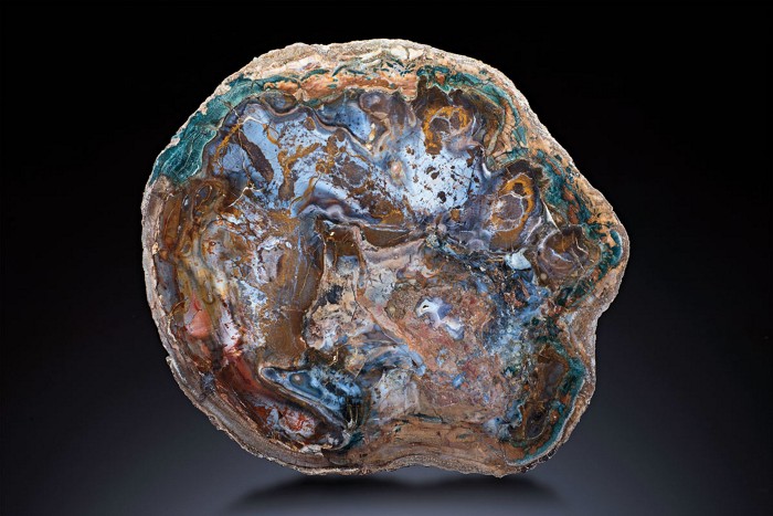 A piece of petrified wood.
