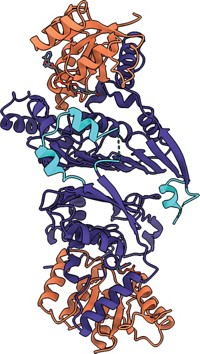 Serving the chemical, life science, and laboratory worlds