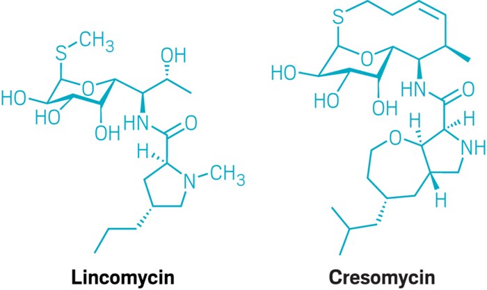 The structures of clindamycin and cresomycin.