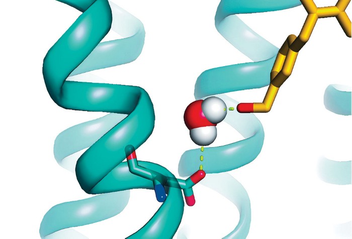 Serving the chemical, life science, and laboratory worlds