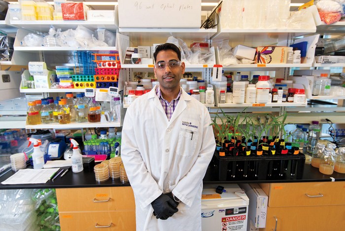A scientist in a white coat stands in front of a lab bench with small corn plants and petri dishes.