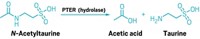 Serving the chemical, life science, and laboratory worlds