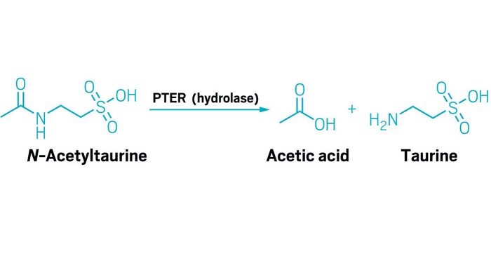 Serving the chemical, life science, and laboratory worlds