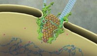 Serving the chemical, life science, and laboratory worlds
