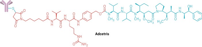Structure of Adcetris.