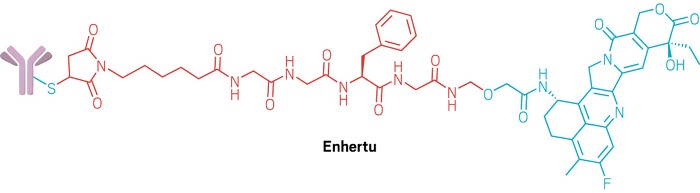 Structure of Enhertu.