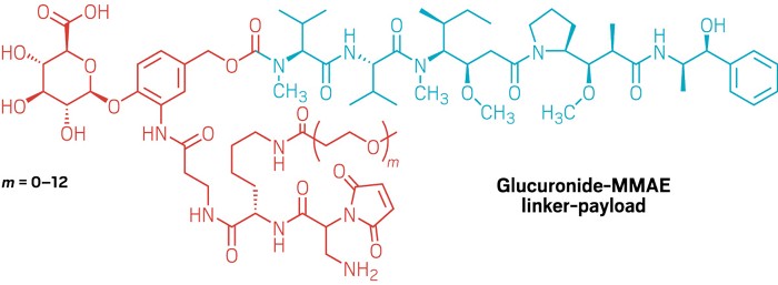 Structure of a linker-payload consisting of glucuronide and monomethyl auristatin E .