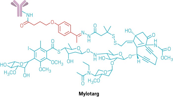 Structure of Mylotarg.